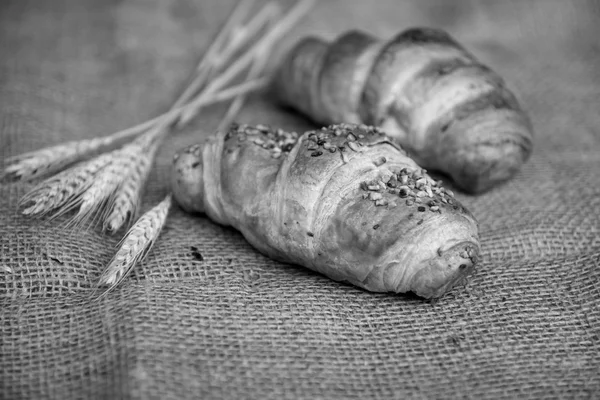 Lahodné čerstvé croissanty — Stock fotografie