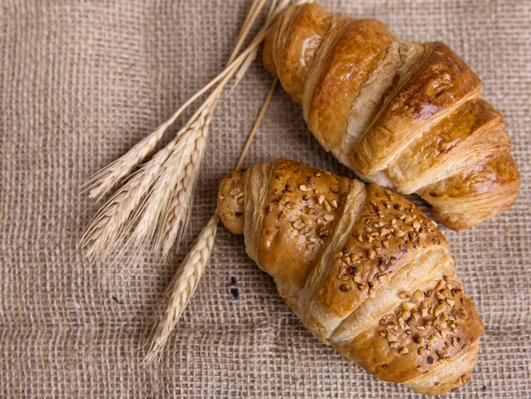 Croissants deliciosos frescos — Fotografia de Stock