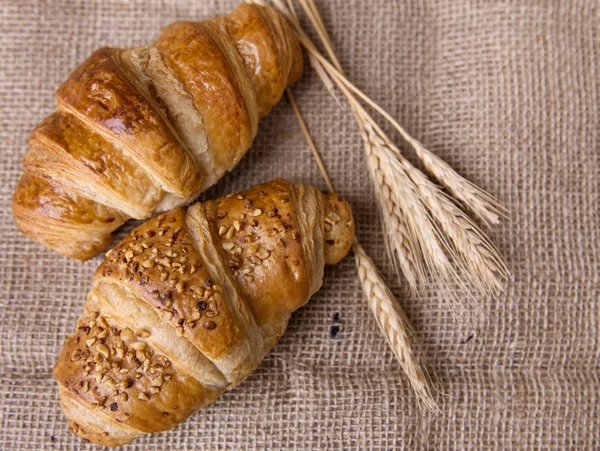 Croissant freschi deliziosi — Foto Stock