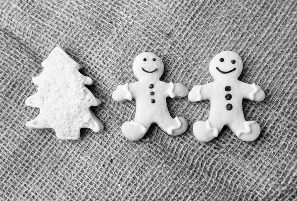 Biscuits de Noël frais et délicieux — Photo