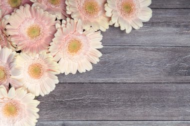 ahşap zemin üzerinde taze çiçekler