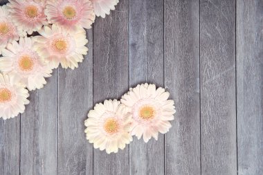 ahşap zemin üzerinde taze çiçekler