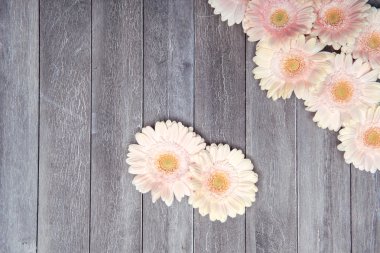 ahşap zemin üzerinde taze çiçekler