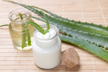 taze organik aloe vera