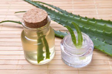 taze organik aloe vera