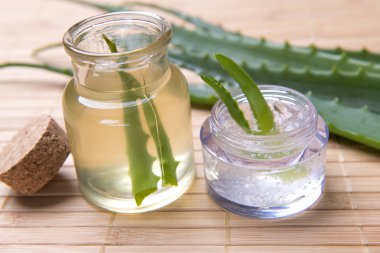 taze organik aloe vera