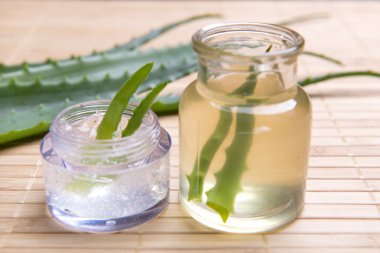 taze organik aloe vera