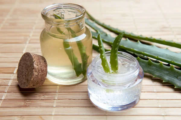 Fresco, biologico aloe vera — Foto Stock