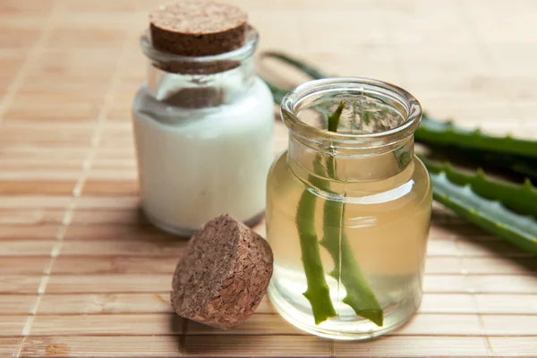 Fresh, organic aloe vera — Stock Photo, Image