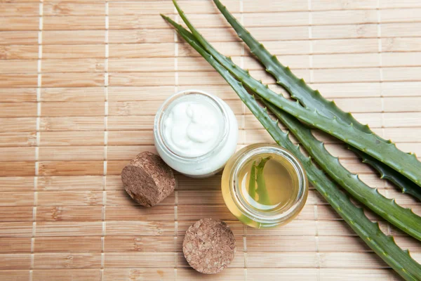 Fresh, organic aloe vera — Stock Photo, Image