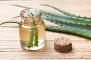 taze organik aloe vera