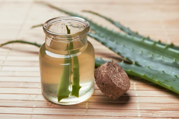 Fresh organic aloe vera — Stock Photo, Image