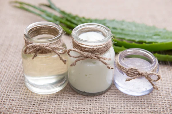 Fresh organic aloe vera — Stock Photo, Image