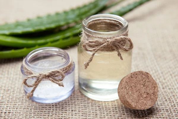 Fresh organic aloe vera — Stock Photo, Image