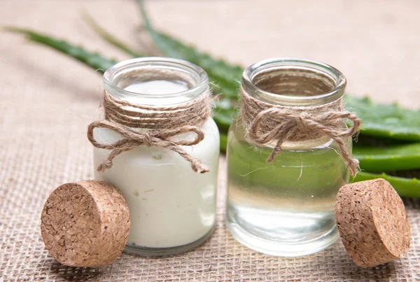 Fresh organic aloe vera — Stock Photo, Image