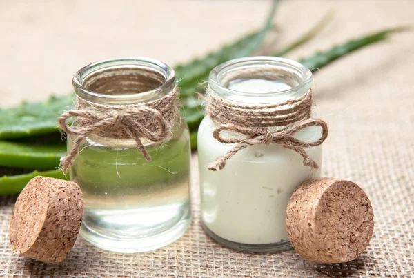 Fresh organic aloe vera — Stock Photo, Image