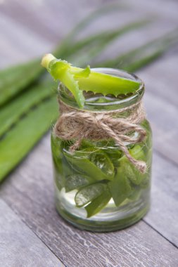 taze organik aloe vera