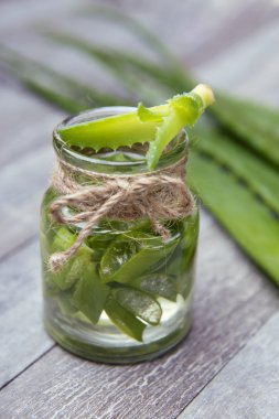 taze organik aloe vera