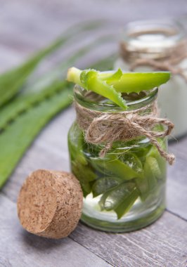 taze organik aloe vera