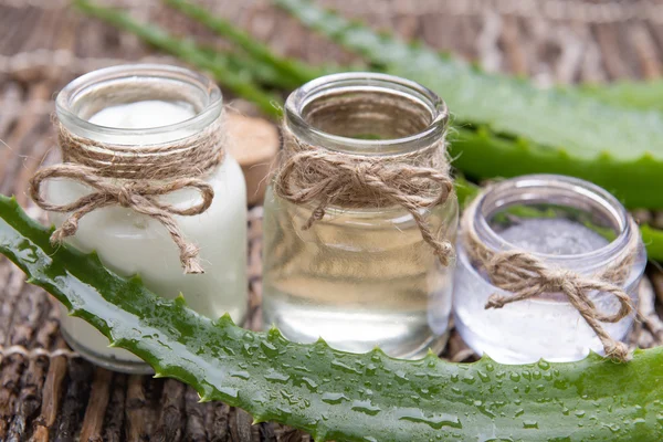 Fresh organic aloe vera — Stock Photo, Image