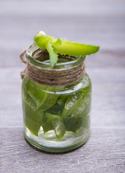 Fresh organic aloe vera — Stock Photo, Image