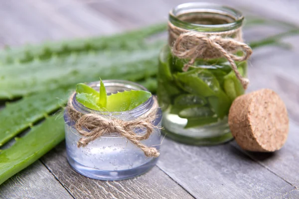 Färska ekologiska aloe vera — Stockfoto