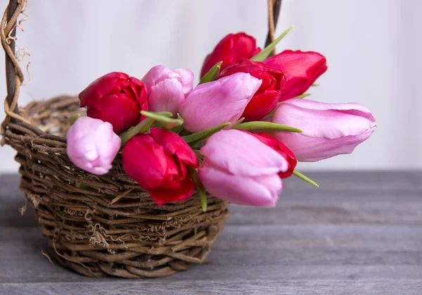 Belas tulipas frescas — Fotografia de Stock