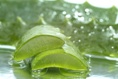 Organik aloe vera dilimleri