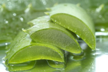Organik aloe vera dilimleri