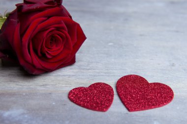 Sevgililer günü için güzel kırmızı gül