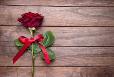 Sevgililer günü için güzel kırmızı gül