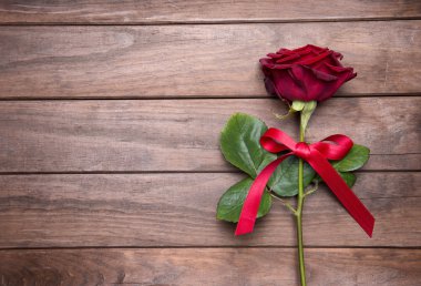 Sevgililer günü için güzel kırmızı gül