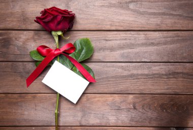 Sevgililer günü için güzel kırmızı gül