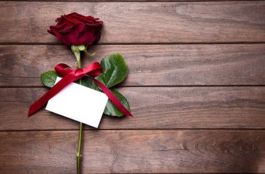 Sevgililer günü için güzel kırmızı gül