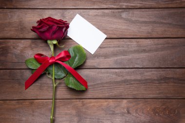 Sevgililer günü için güzel kırmızı gül