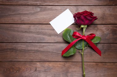 Sevgililer günü için güzel kırmızı gül