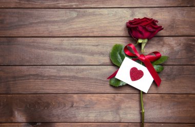 Sevgililer günü için güzel kırmızı gül