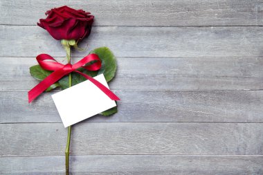 Sevgililer günü için güzel kırmızı gül