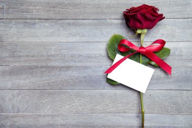 Sevgililer günü için güzel kırmızı gül