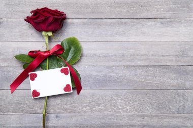 Sevgililer günü için güzel kırmızı gül