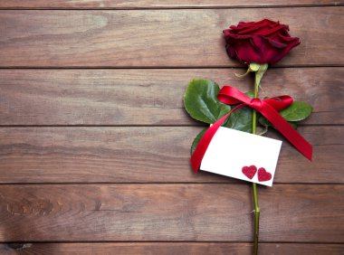 Sevgililer günü için güzel kırmızı gül