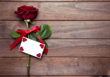 Sevgililer günü için güzel kırmızı gül