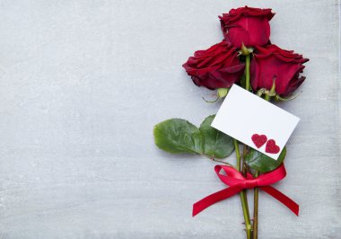 Sevgililer günü için güzel kırmızı gül