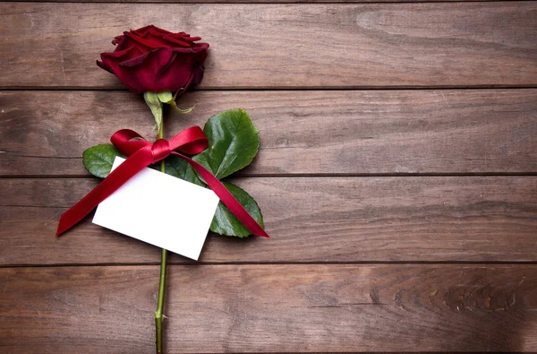 Sevgililer günü için güzel kırmızı gül