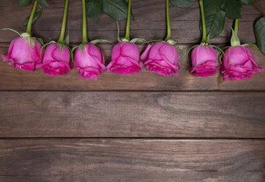 güzel taze çiçekler