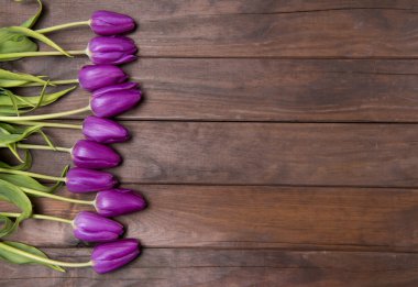 güzel taze çiçekler