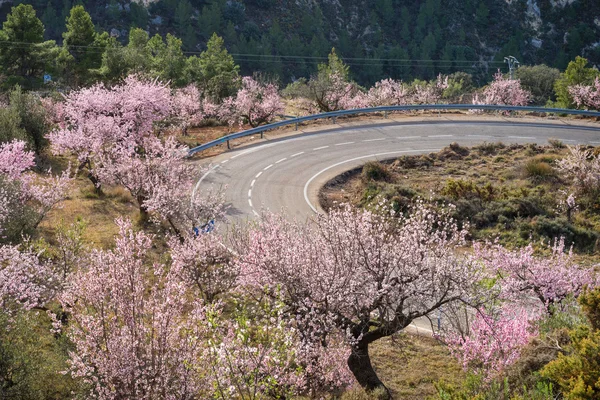 Schilderachtige bergweg — Stockfoto