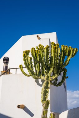 Endülüs sahne görünümü