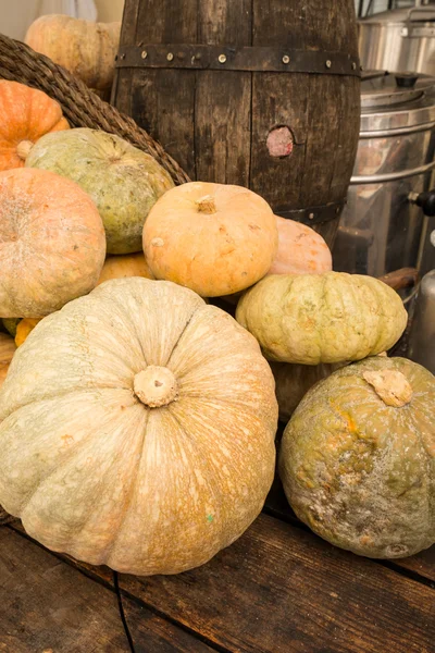 Assorted pumpkins at the market — Stock Photo, Image