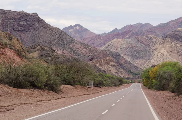 Vue sur la route andine — Photo